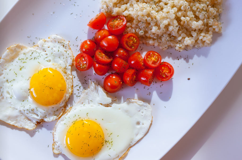 What to feed your Pet when you run out of Fresh Food